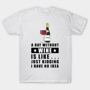 A day without Wine is like.. just kidding I have no idea T-Shirt